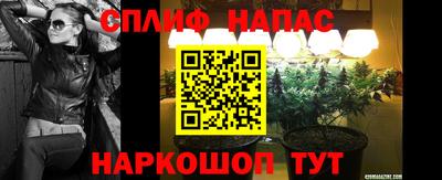 кокс Аша