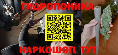 кокс Аша