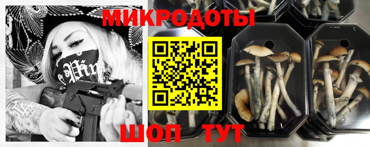 Галлюциногенные грибы MAGIC MUSHROOMS  закладки  Кольчугино  Вход с VPN 
